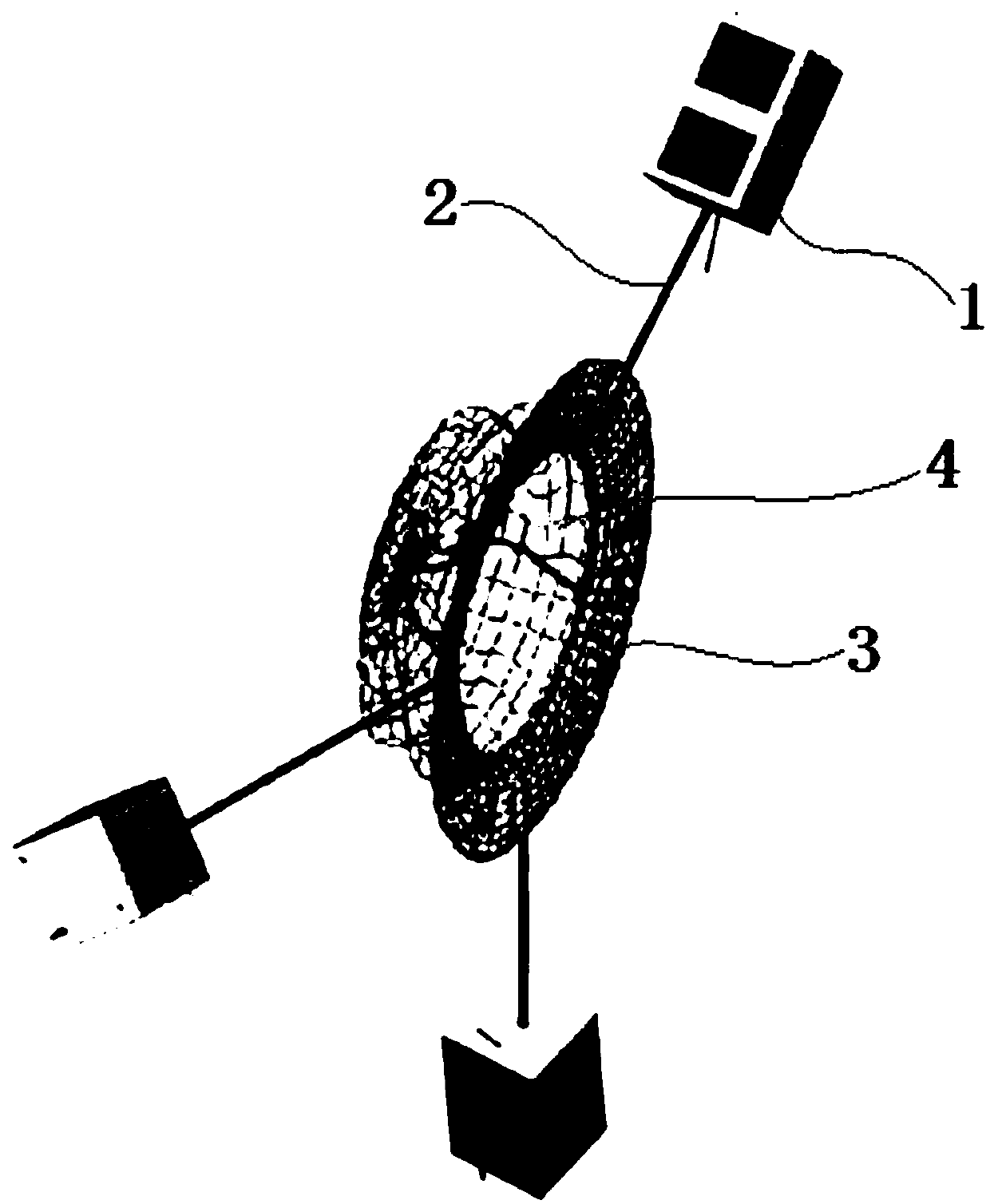 Device and method for capturing and cleaning space debris