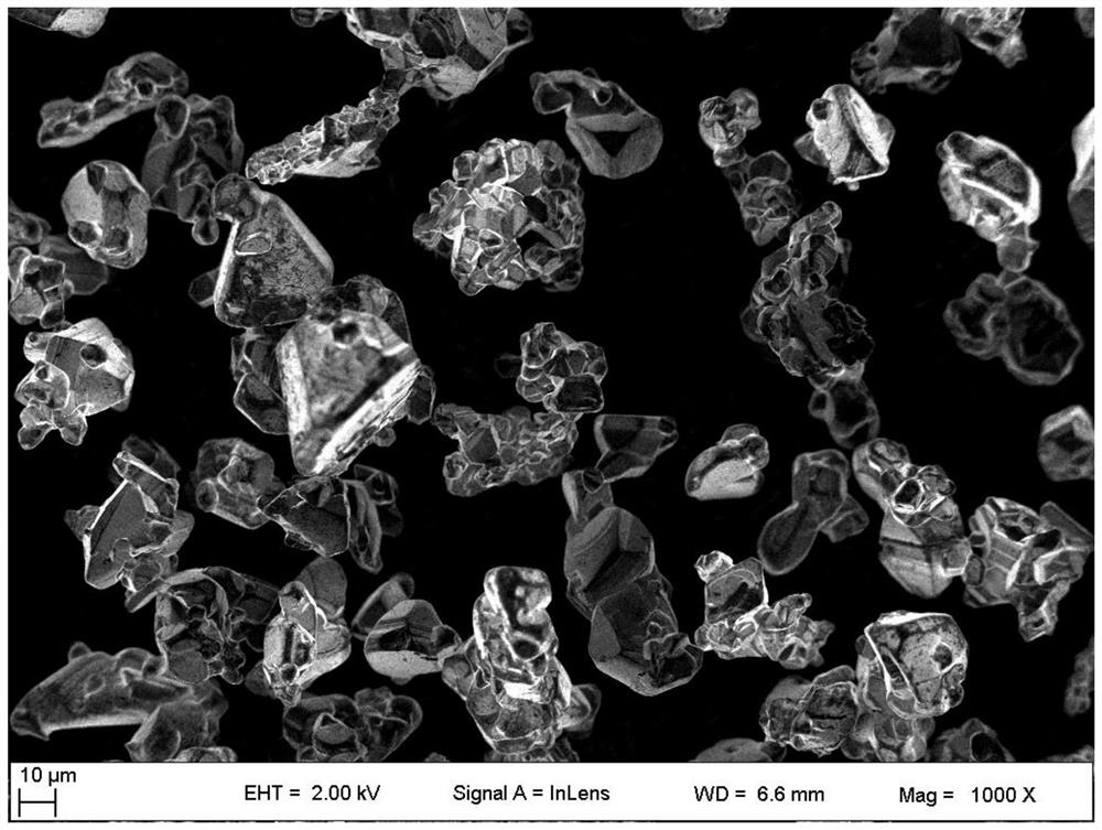 Shaping method of silicon carbide powder particles