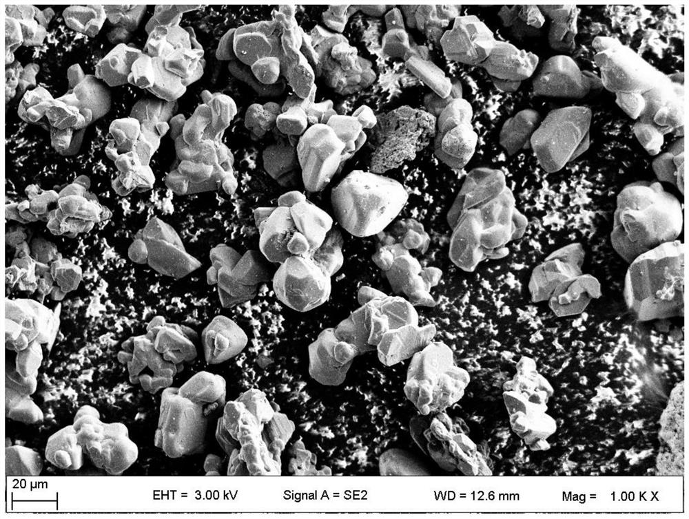 Shaping method of silicon carbide powder particles