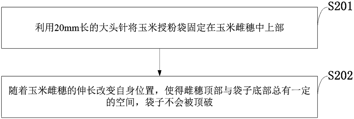 Method for fixing corn pollination bags