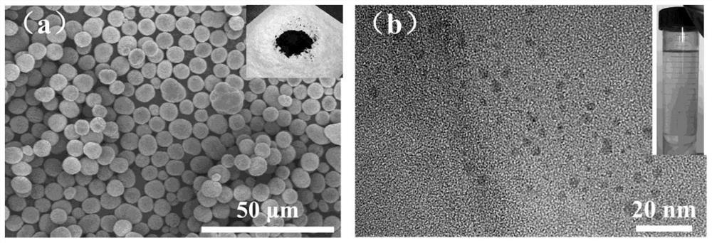 A general method for the assembly of ultrathin porous nanosheets using metal oxide quantum dots