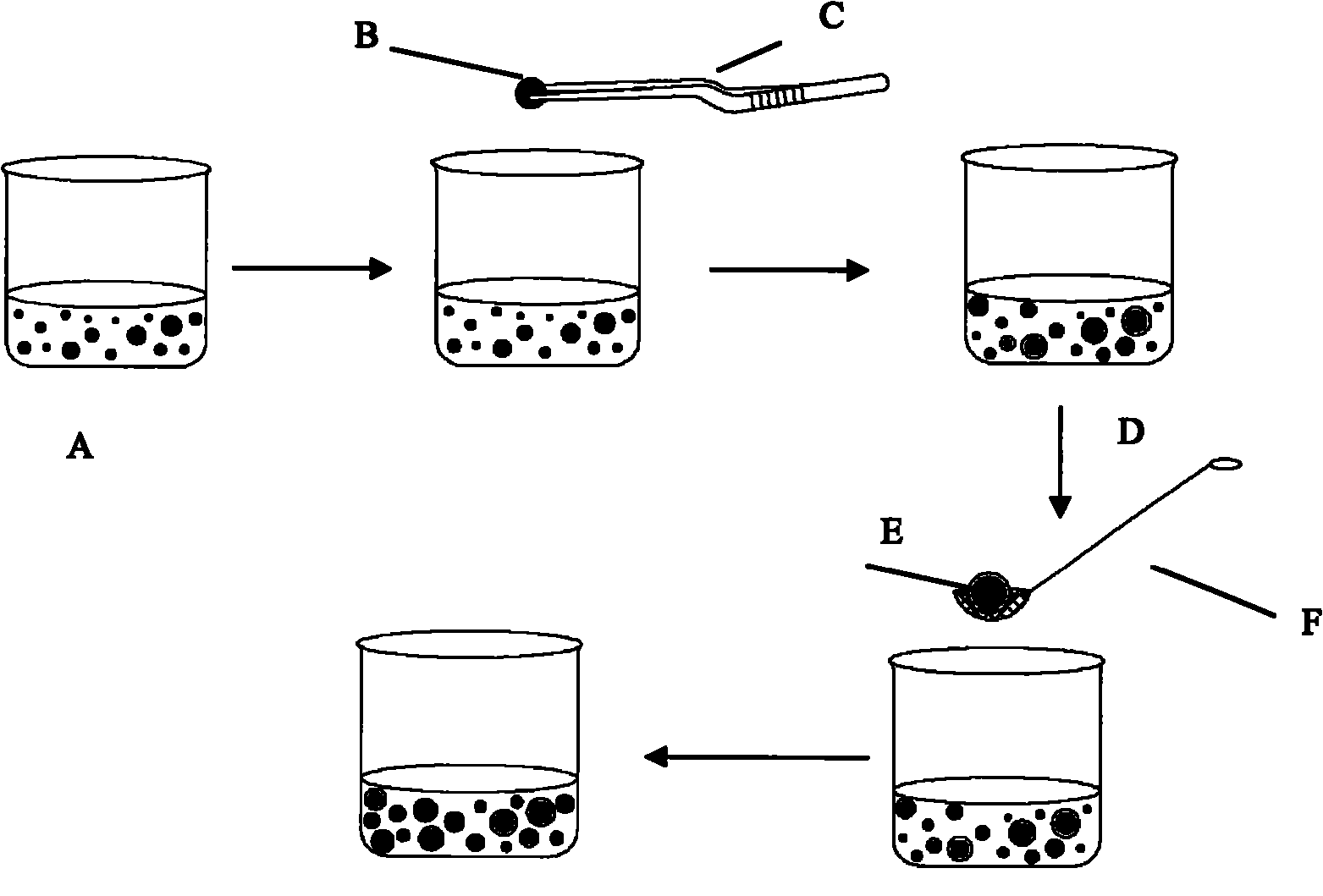 Manufacturing method of artificial begonia fimbristipula hance seed