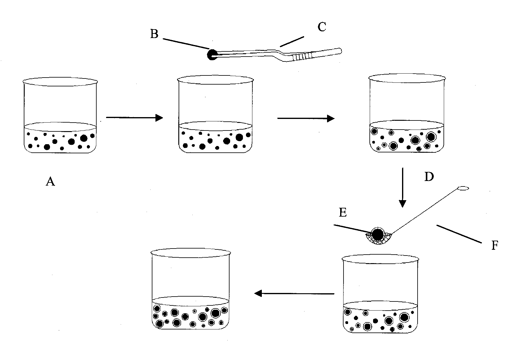 Manufacturing method of artificial begonia fimbristipula hance seed