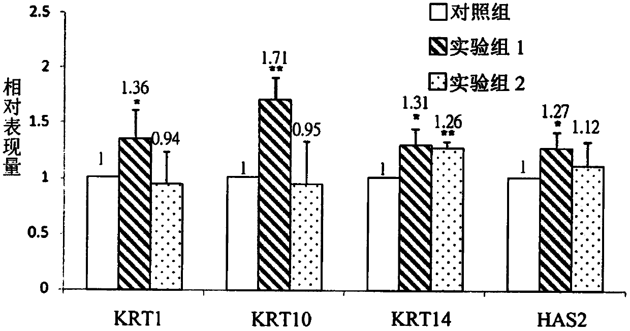 USE OF EXTRACT OF VICTORIA CRUZIANA FOR preparing composition for improving gene expression quantity and improving moisturizing capability of skin