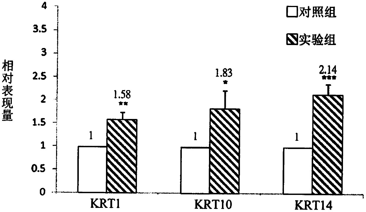 USE OF EXTRACT OF VICTORIA CRUZIANA FOR preparing composition for improving gene expression quantity and improving moisturizing capability of skin