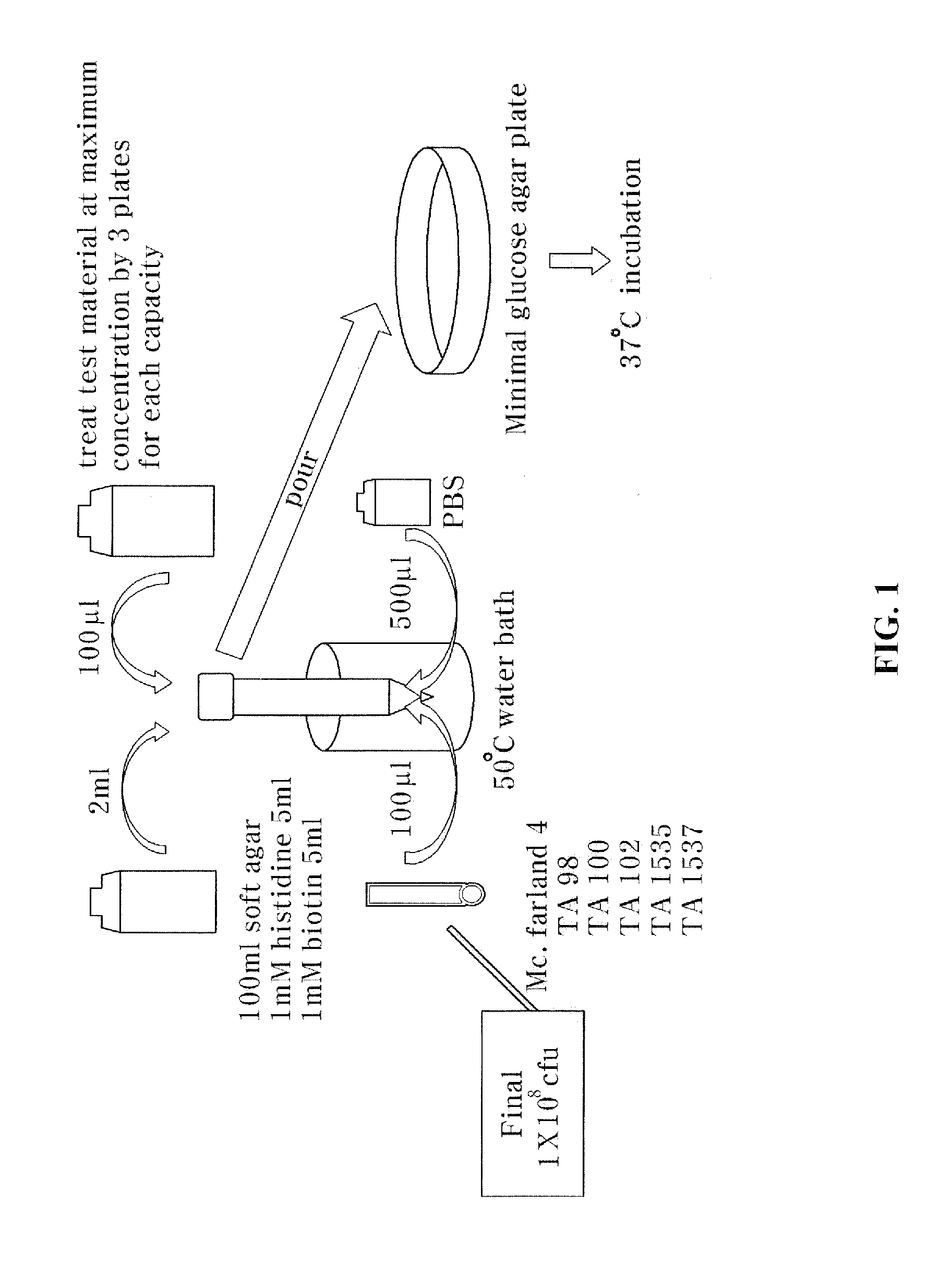 Composition comprising egg white-chalcanthite for preventing or treating cancer