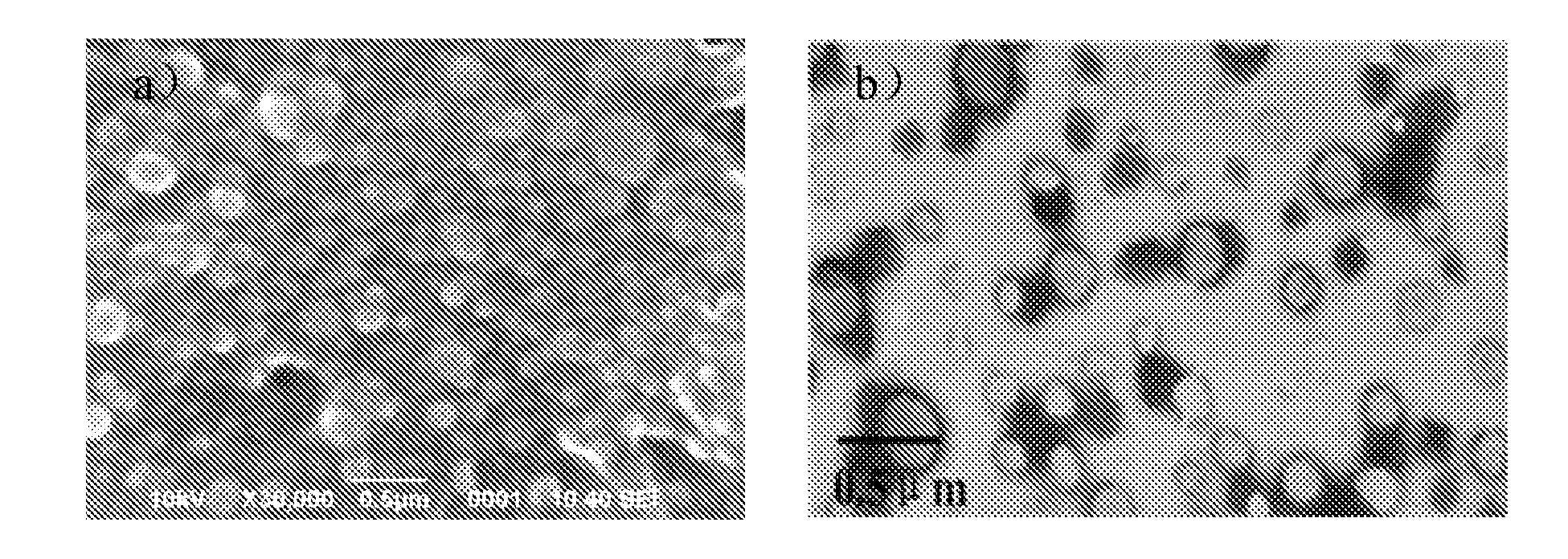 Enteric-coated capsule containing cationic nanoparticles for oral insulin delivery