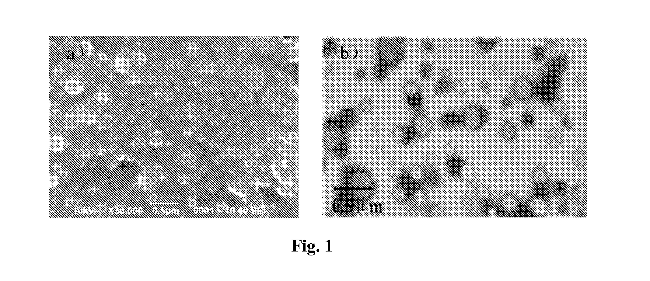 Enteric-coated capsule containing cationic nanoparticles for oral insulin delivery