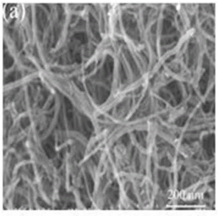 Nitrogen-enriched carbon shell cladded nano core-shell-structure carbonaceous carrier as well as preparation method and application thereof