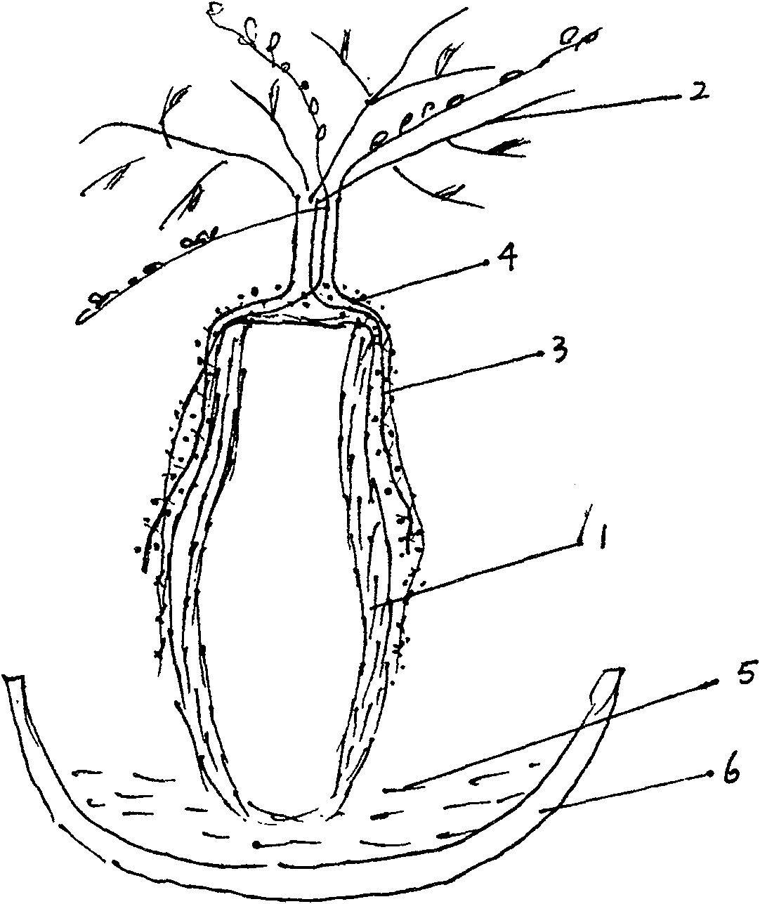 Method for quick cultivating art plant roots