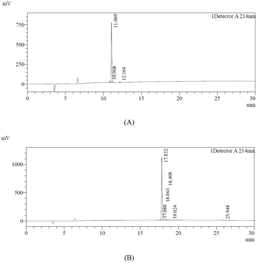 A kind of antioxidant active peptide and its application