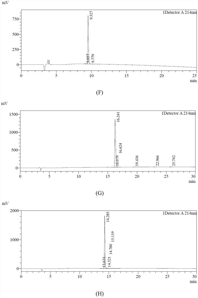 A kind of antioxidant active peptide and its application