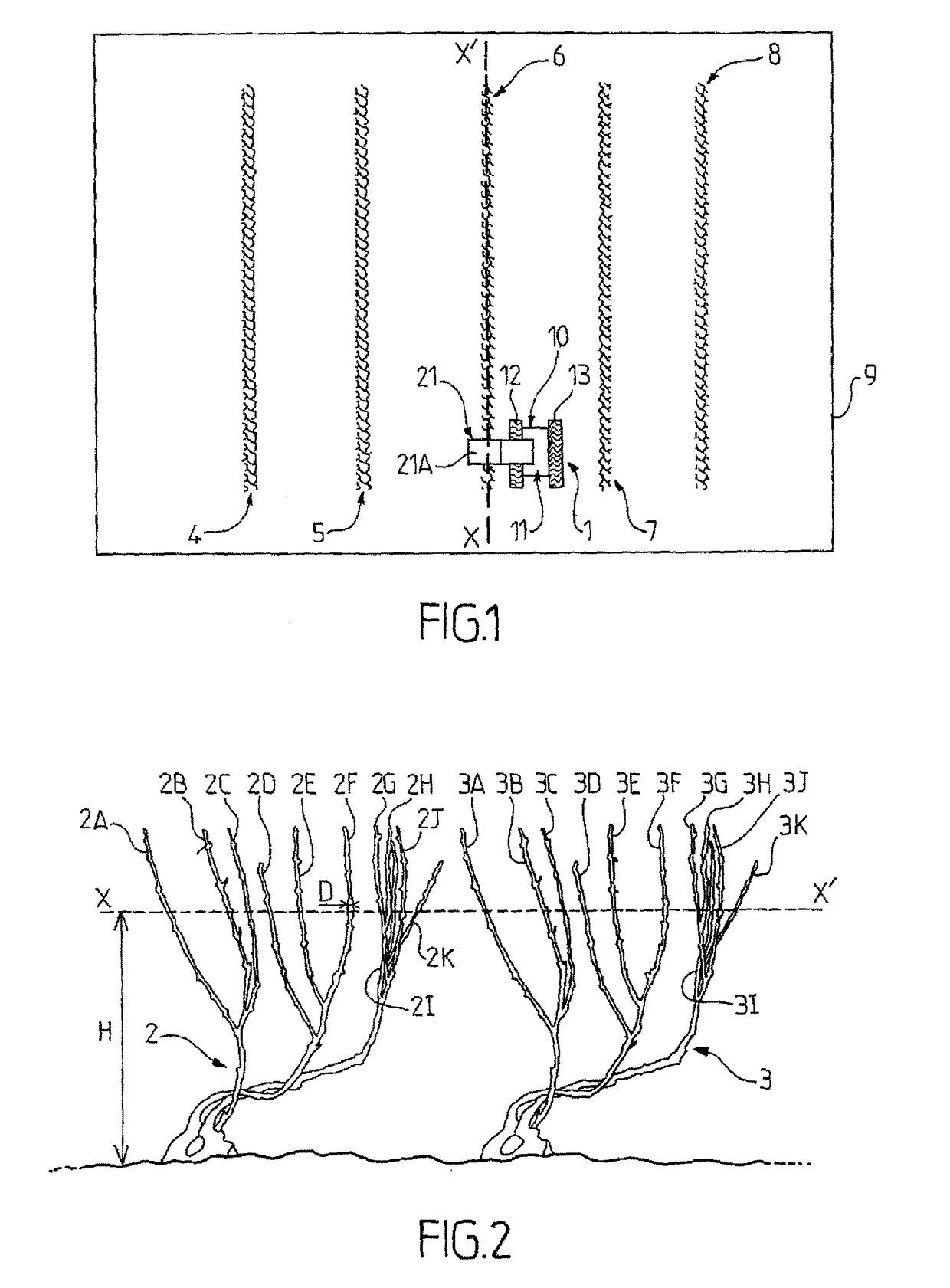 System for characterizing the physiological state of plants and corresponding method