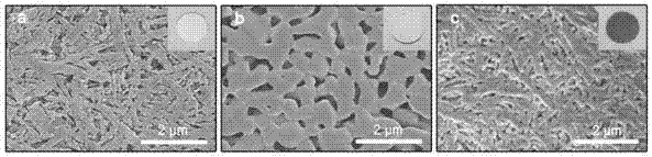 Cu/TiO2-NB nano porous ceramic film, and preparation method and application of nano porous ceramic film