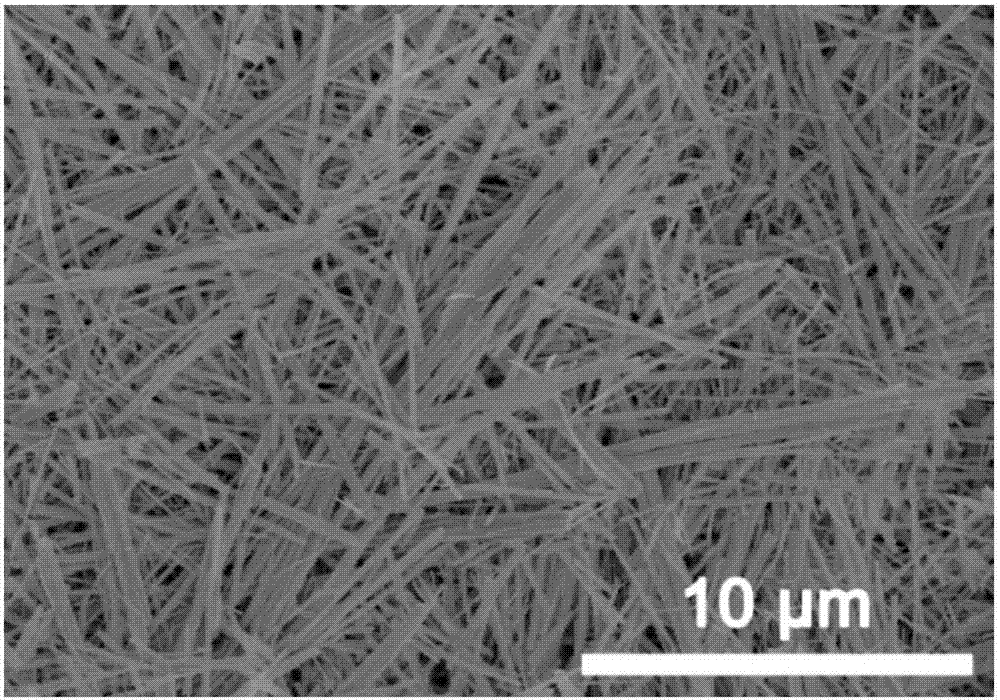 Cu/TiO2-NB nano porous ceramic film, and preparation method and application of nano porous ceramic film