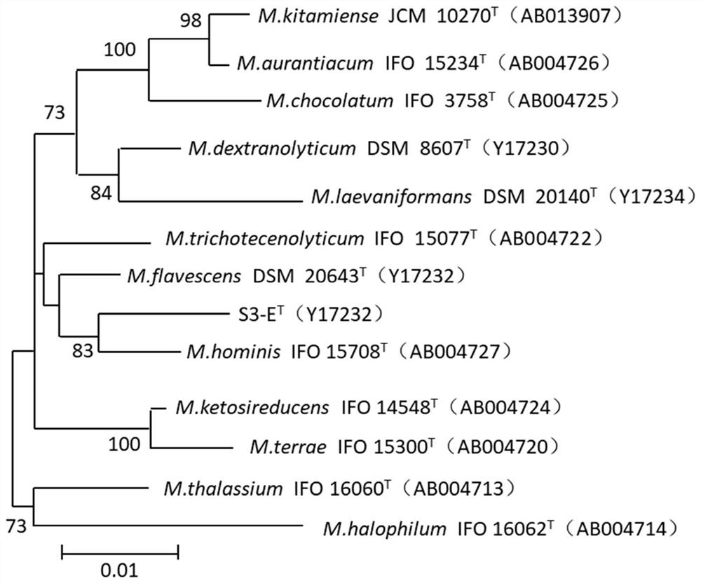 Screening and application of benzo[a] anthracene degrading bacterium in black and odorous bottom mud