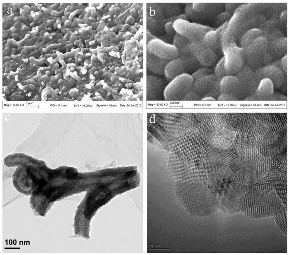 A kind of polycrystalline manganese dioxide/carbon nanotube composite material and its preparation method and application
