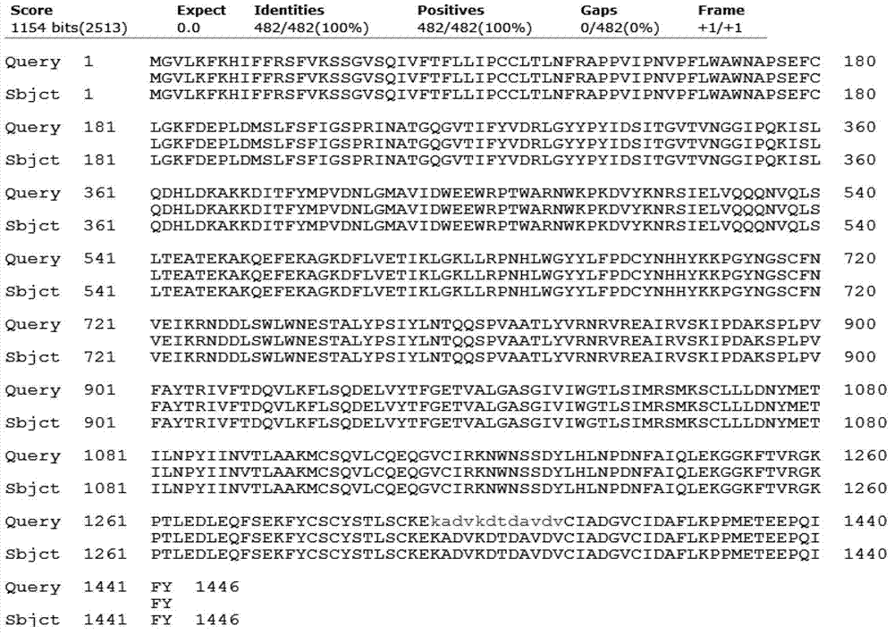 Gene sequence for expressing soluble recombinant human hyaluronidase PH20 in CHO (Chinese hamster ovary) cell