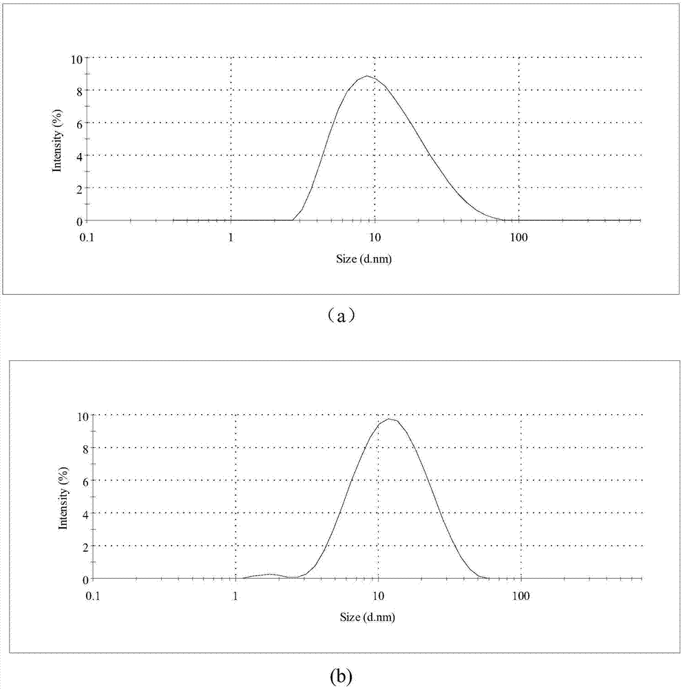 A kind of magnetic carboxymethyl chitosan nano material and preparation method thereof