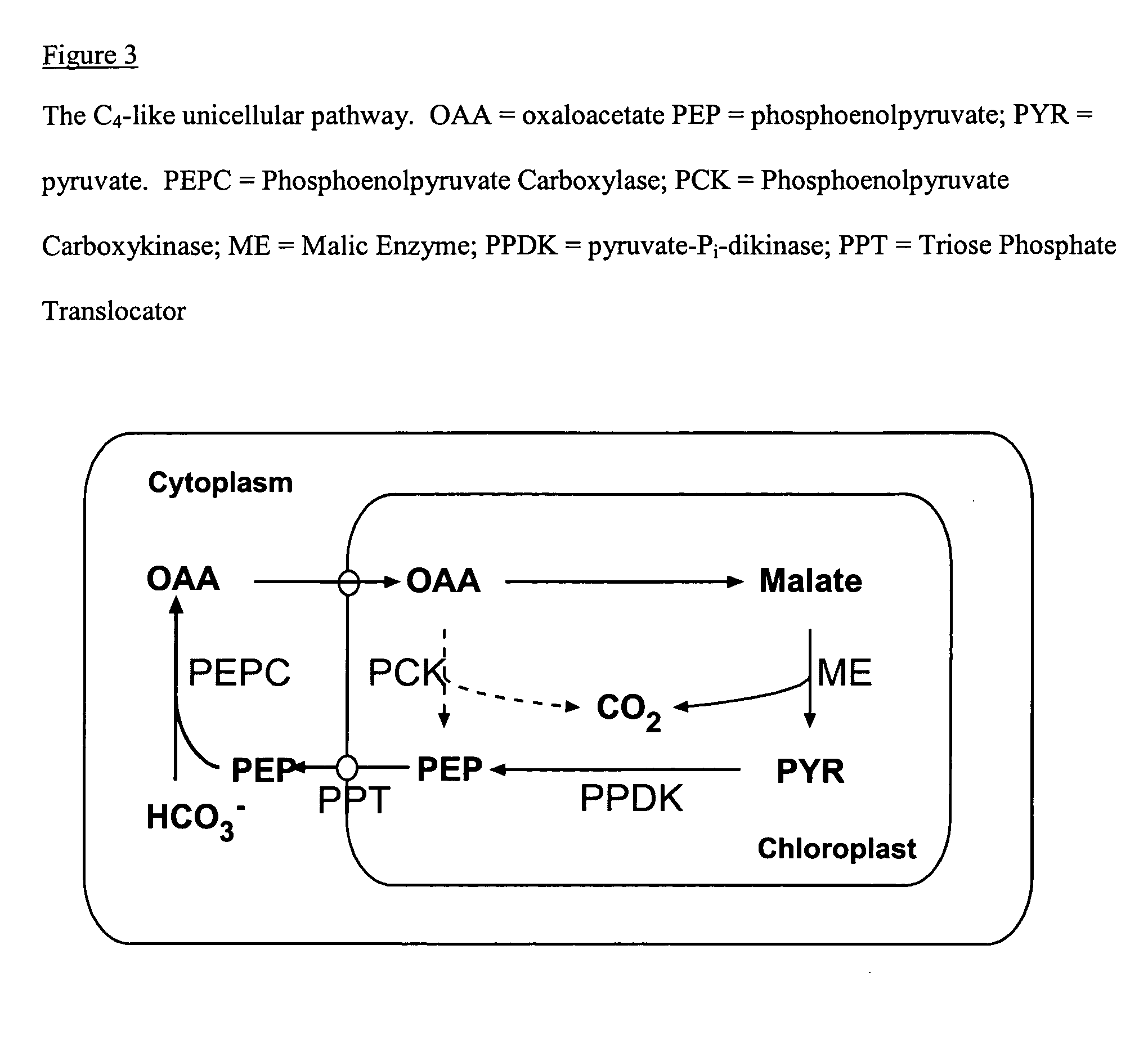 Method for producing plants with suppressed photorespiration and improved c02 fixation