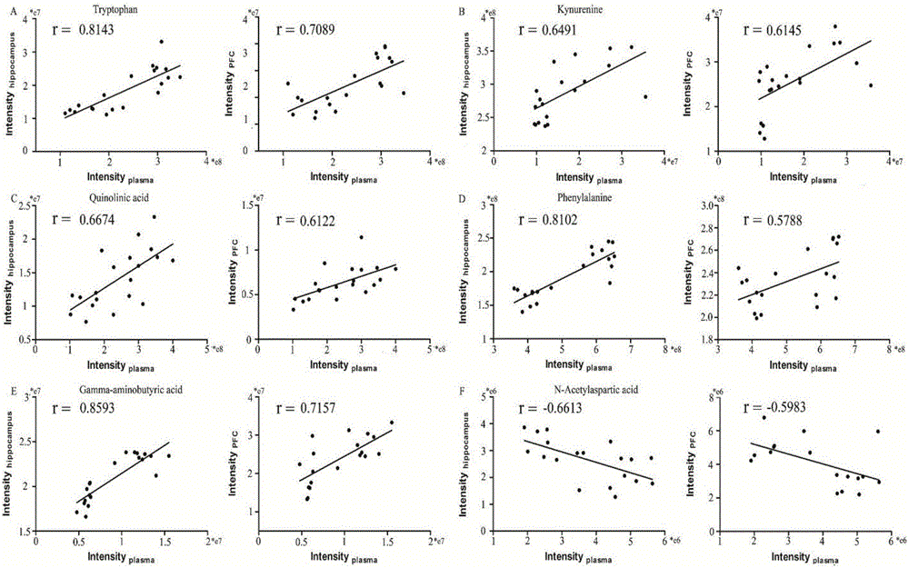 Experimental method for animal model depression degree evaluation based on metabonomics