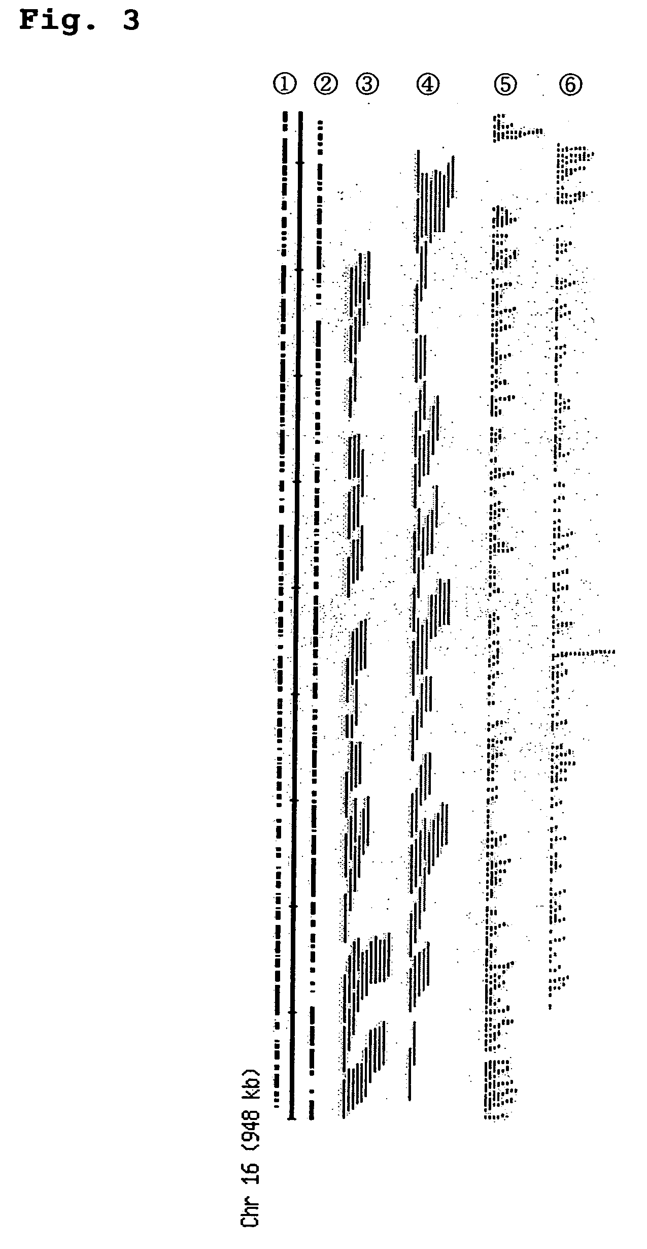 Screening method for genes of brewing yeast