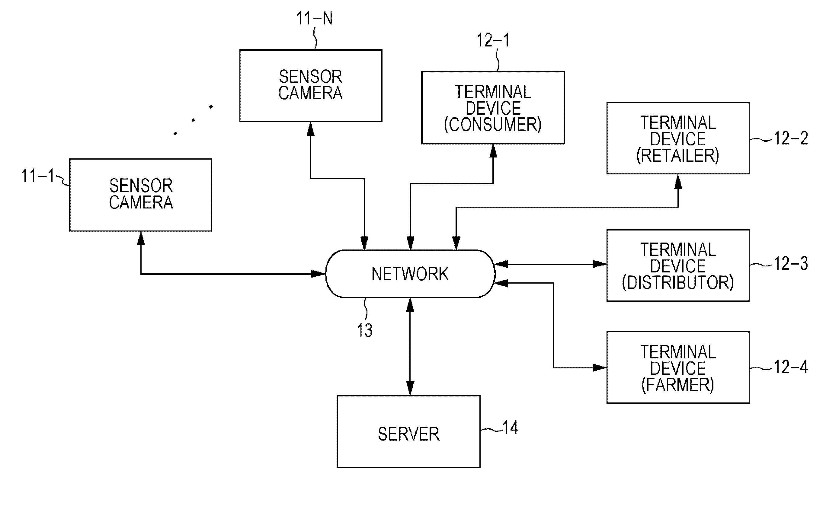 Method, system, and medium having stored thereon instructions that cause a processor to execute a method for obtaining image information of an organism comprising a set of optical data