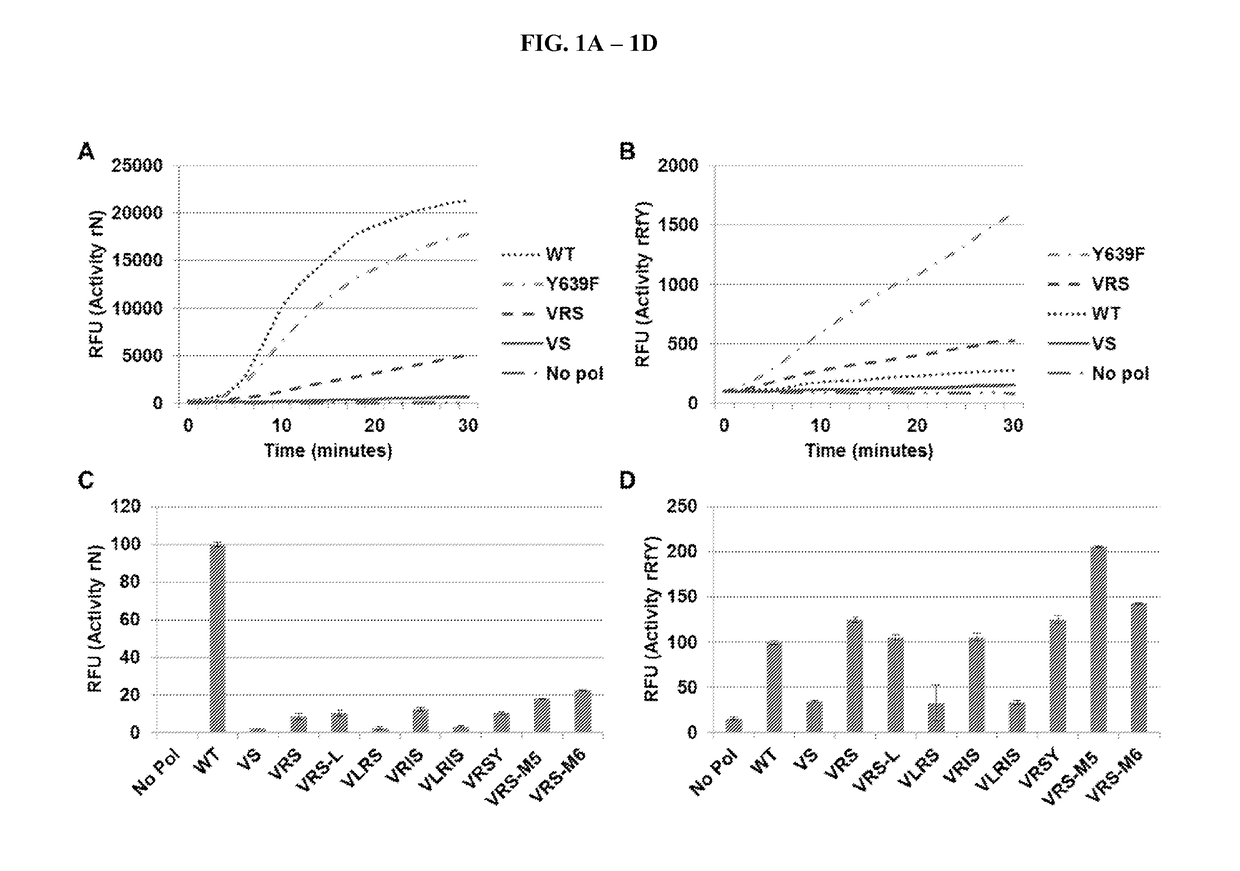 T7 RNA polymerase variants with expanded substrate range and enhanced transcriptional yield