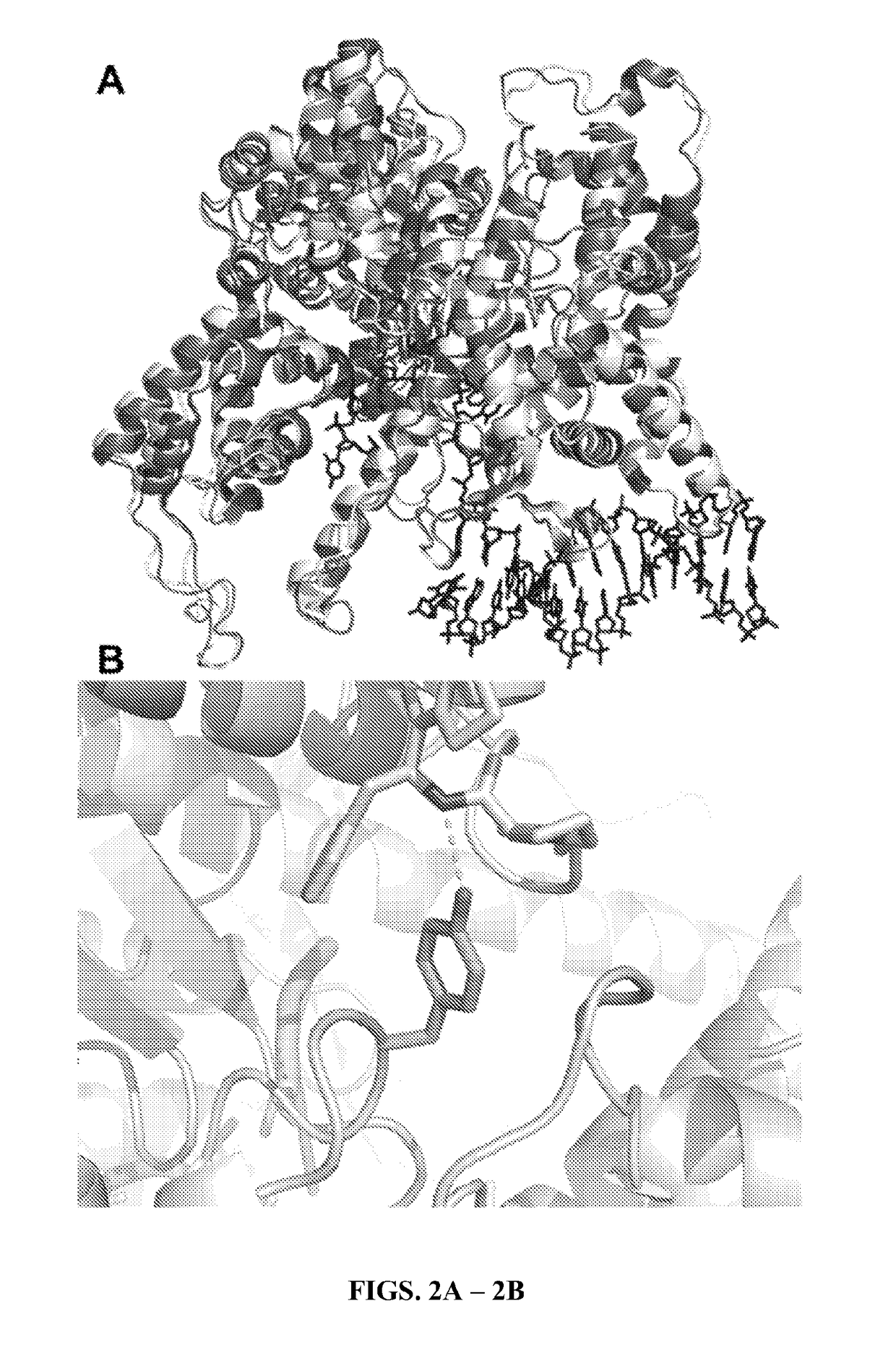 T7 RNA polymerase variants with expanded substrate range and enhanced transcriptional yield