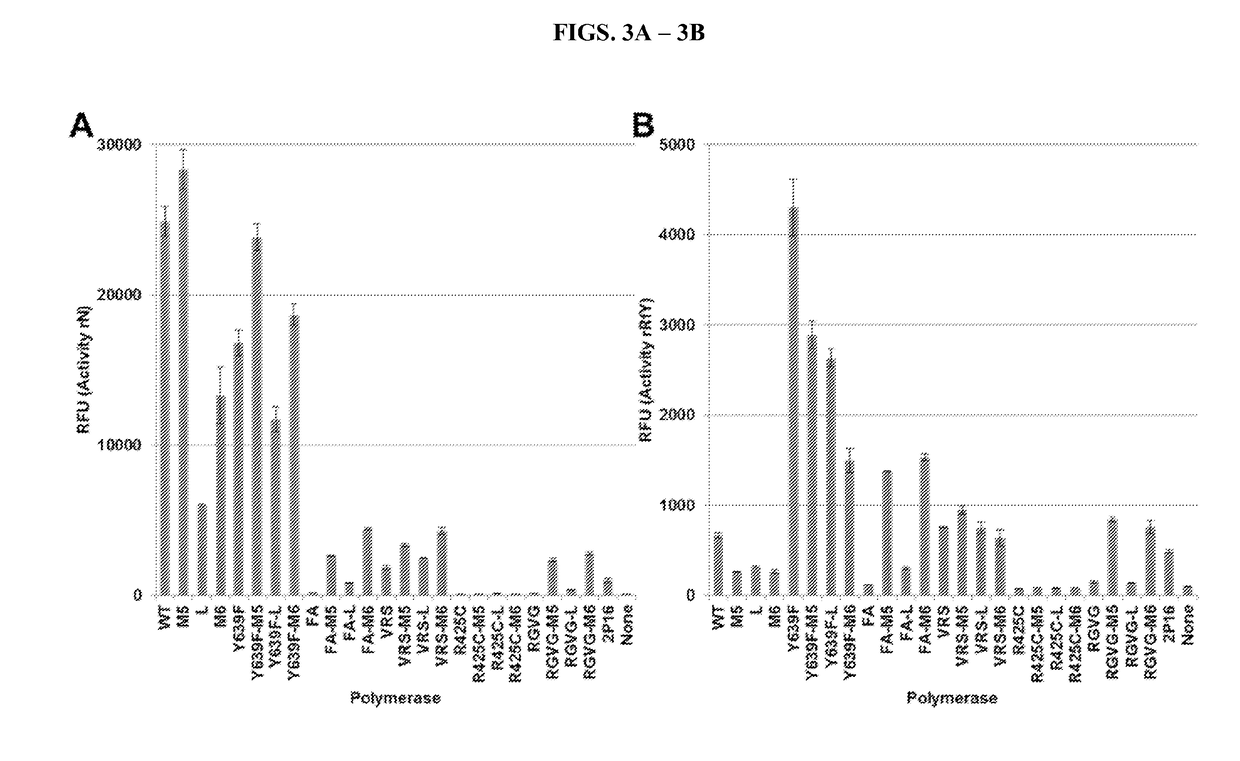 T7 RNA polymerase variants with expanded substrate range and enhanced transcriptional yield