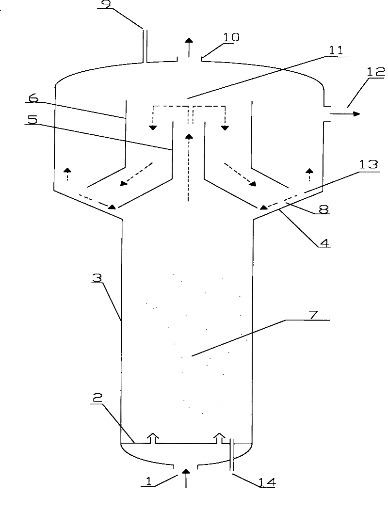 Fluidized bed reactor