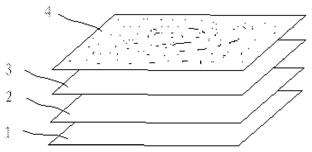 Roof-greening grass carpet, cultivation method thereof, and method for one-step establishment of turf using the same
