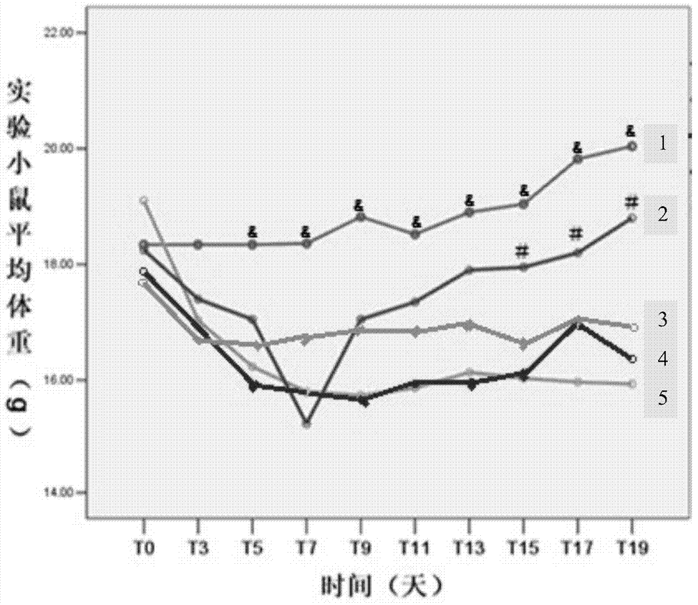 Application of chemokine-like factor derived polypeptide in inhibiting inflammatory lesion