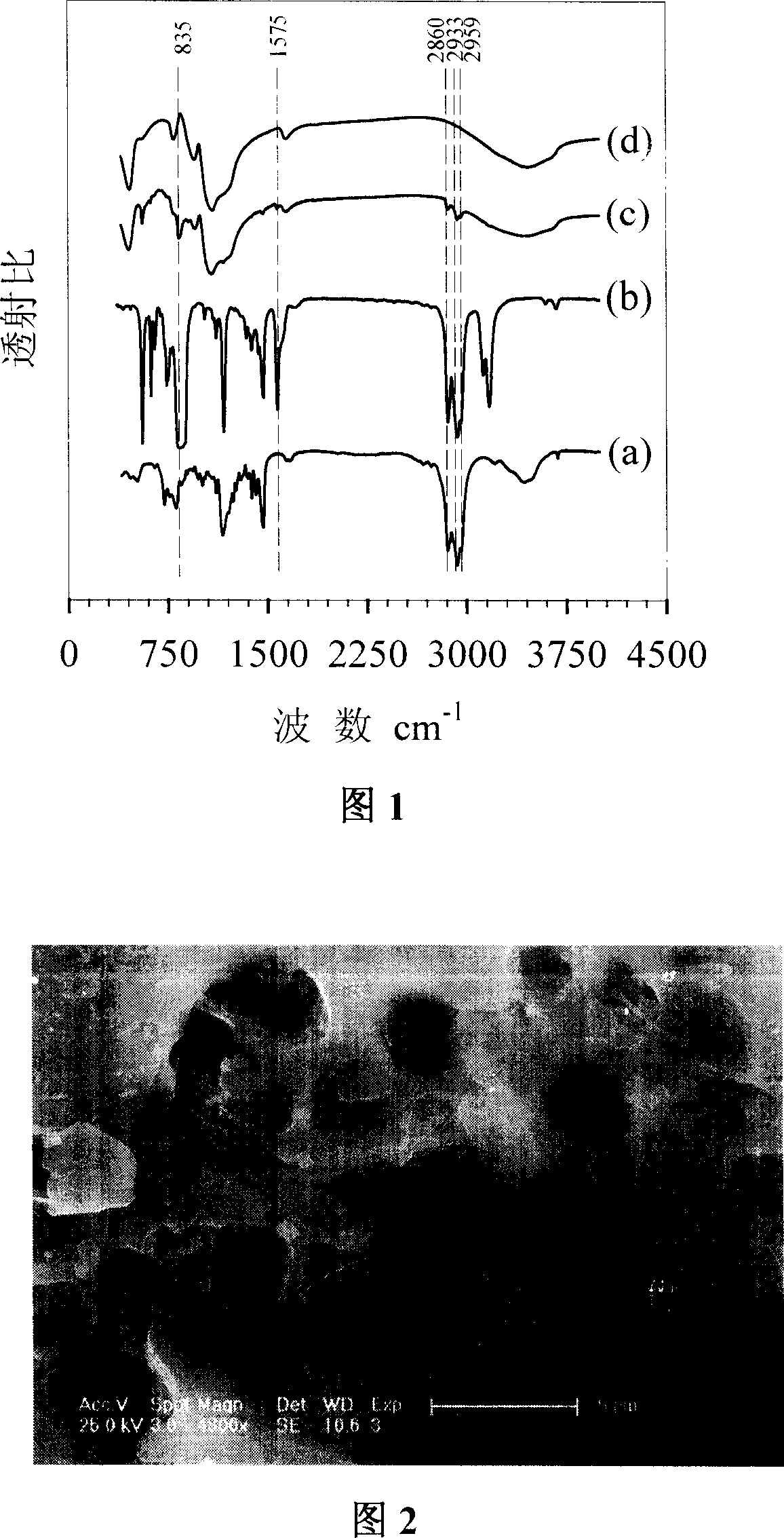 Method for preparing embedding ion liquid and neutral phosphor (phosphine) extractant composite material and its use