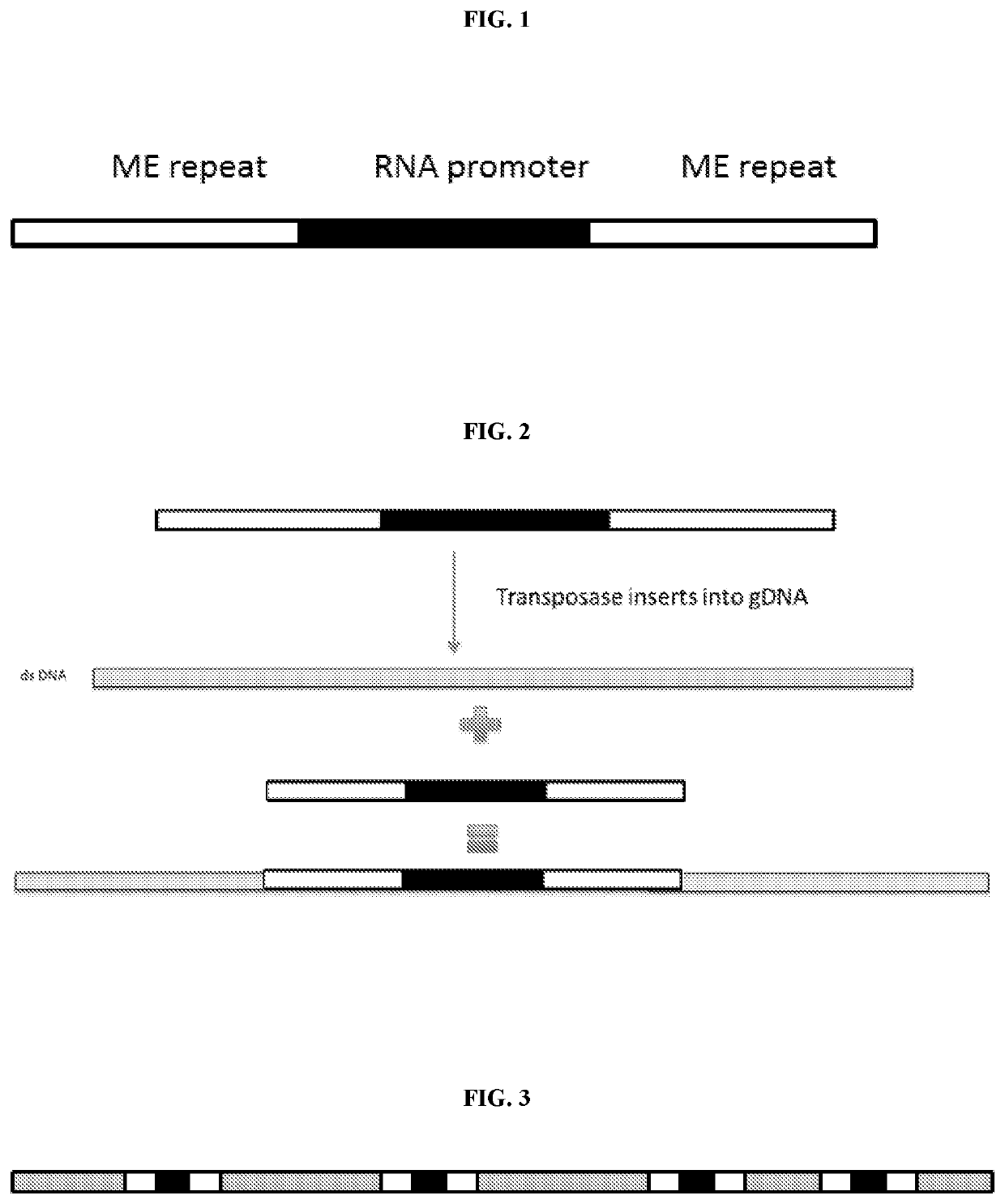 Methods and compositions for sequencing