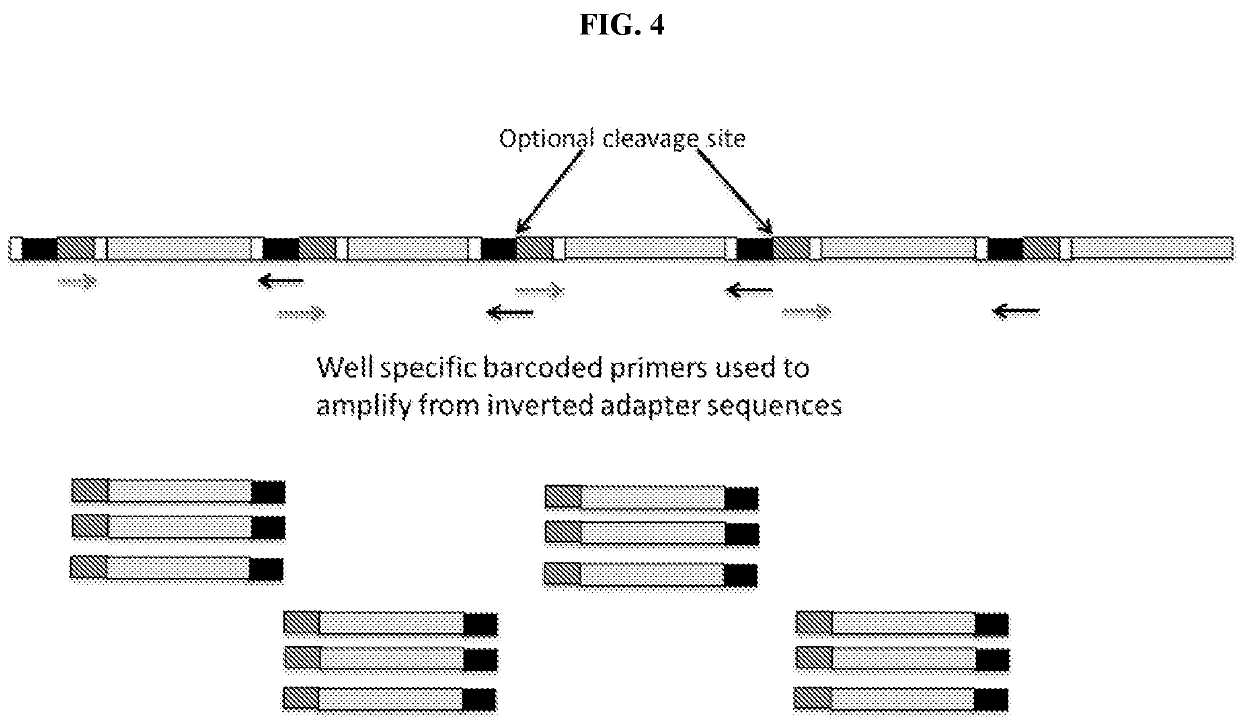 Methods and compositions for sequencing