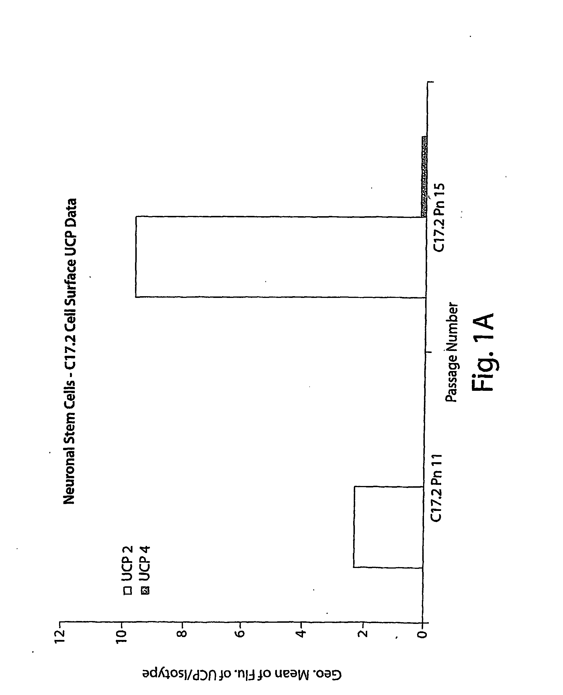 Diagnostic and Therapeutic Treatments Related to Mitochondrial Disorders