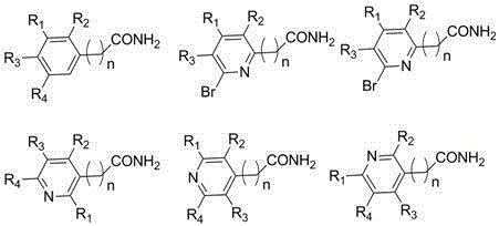 A kind of method for preparing amide compound