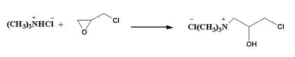 Solid base catalyst and method for synthesizing 3-chloro-2-hydroxypropyl-trimethyl-ammonium chloride based on solid base catalyst