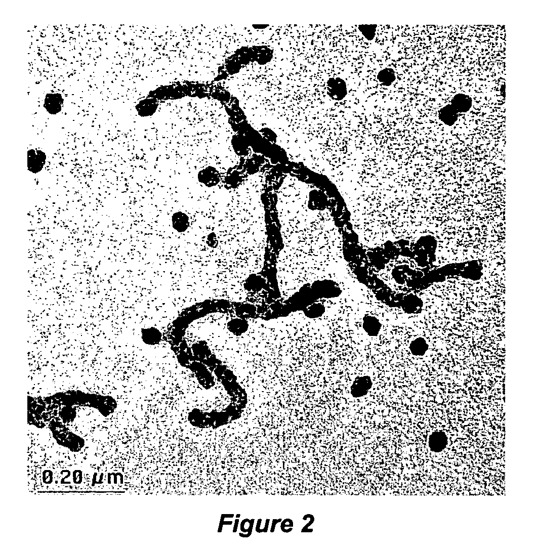 Nanoparticles with controlled architecture and method thereof