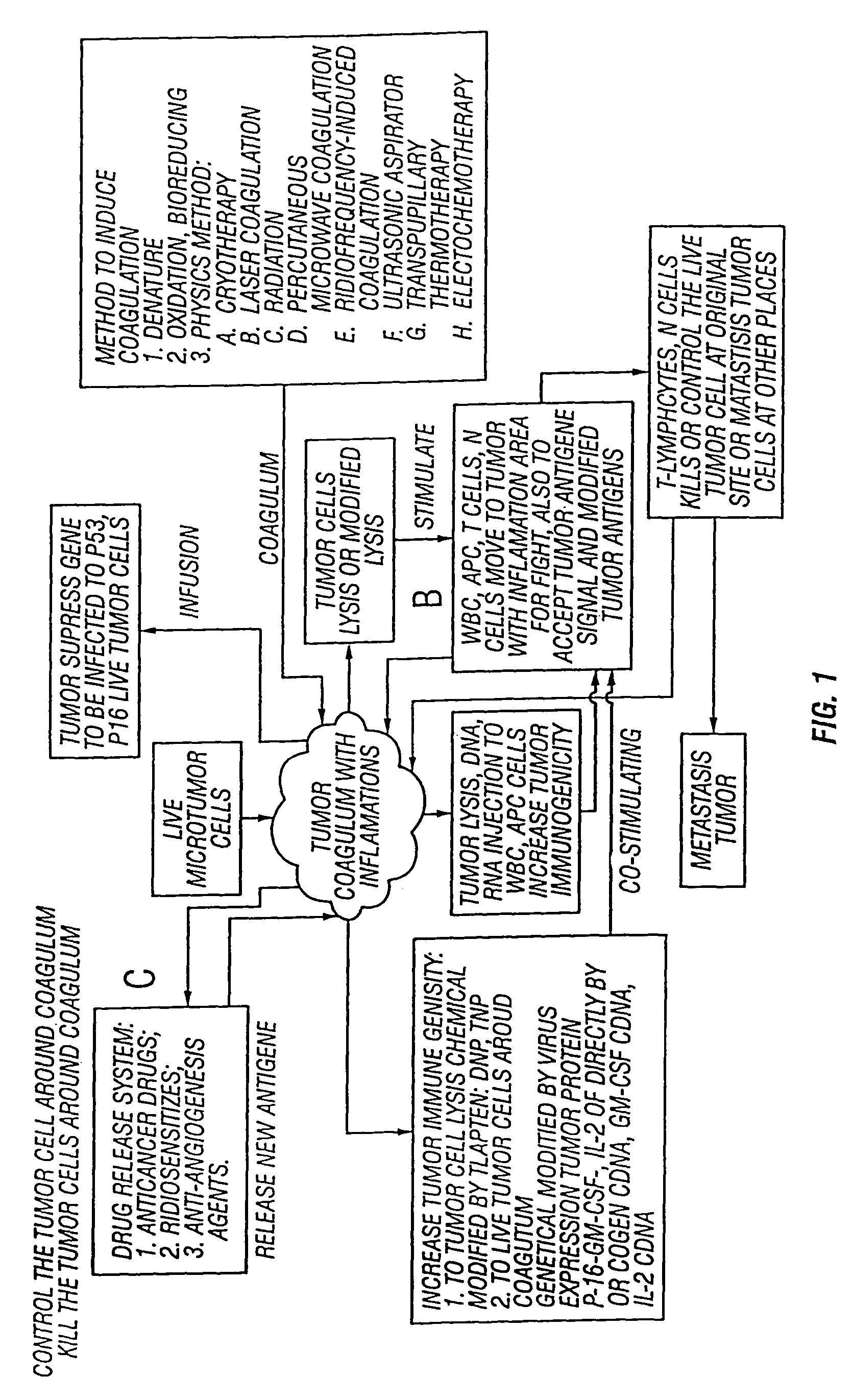 Combinations and methods for treating neoplasms