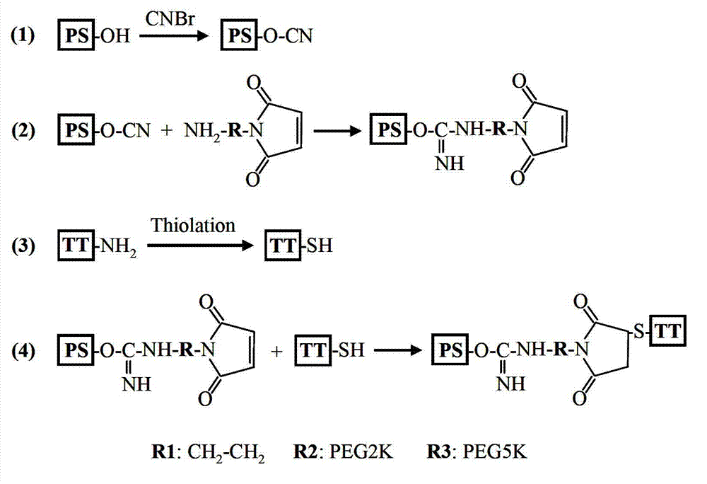 Meningococcal polysaccharide conjugate vaccine treating heterobifunctional reagent as conjugation bridge, and its preparation method