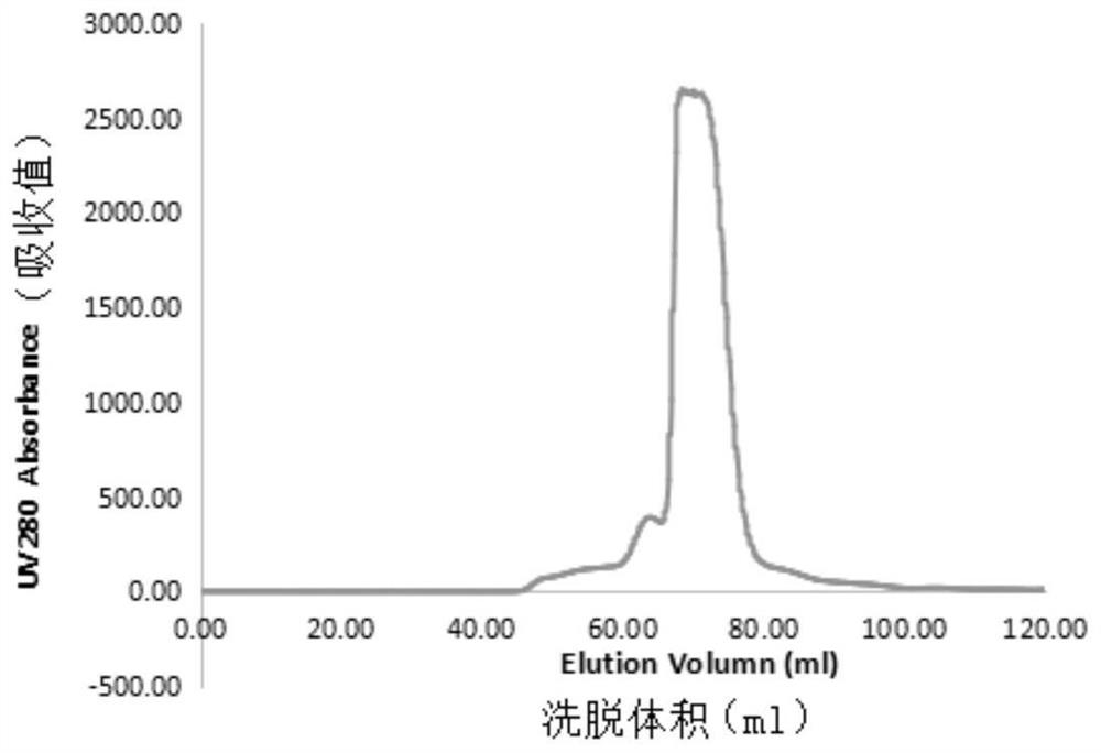 Culture and immunofluorescence quantitative detection method of human group H rotavirus