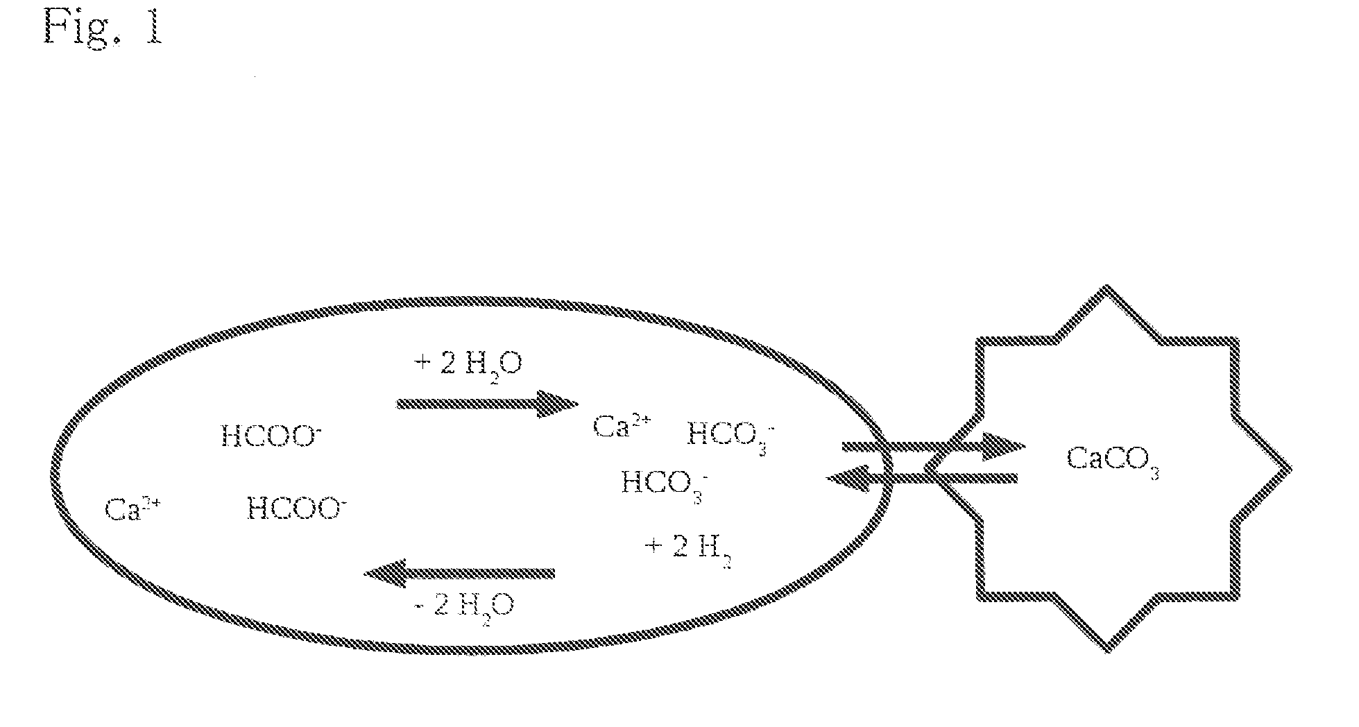 Salt-composition for supplementing a mineral balance in the aquaristic area, ready for use solution of said salt-composition, use of said salt-composition, and aquaristic ornamental stone obtained by said use