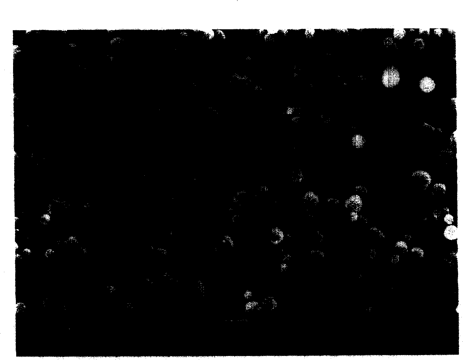Fine-grain silver powder and process for producing the same