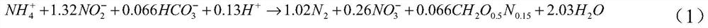 Anaerobic ammonium oxidation bacteria particle culture method and device