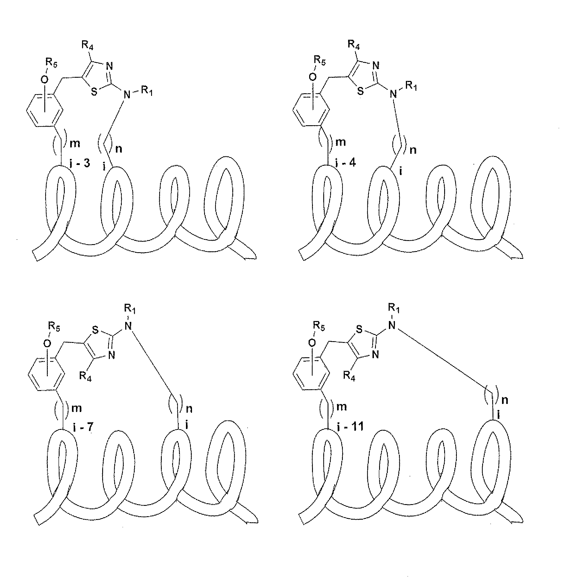 Macrocycles And Macrocycle Stabilized Peptides - Eureka 