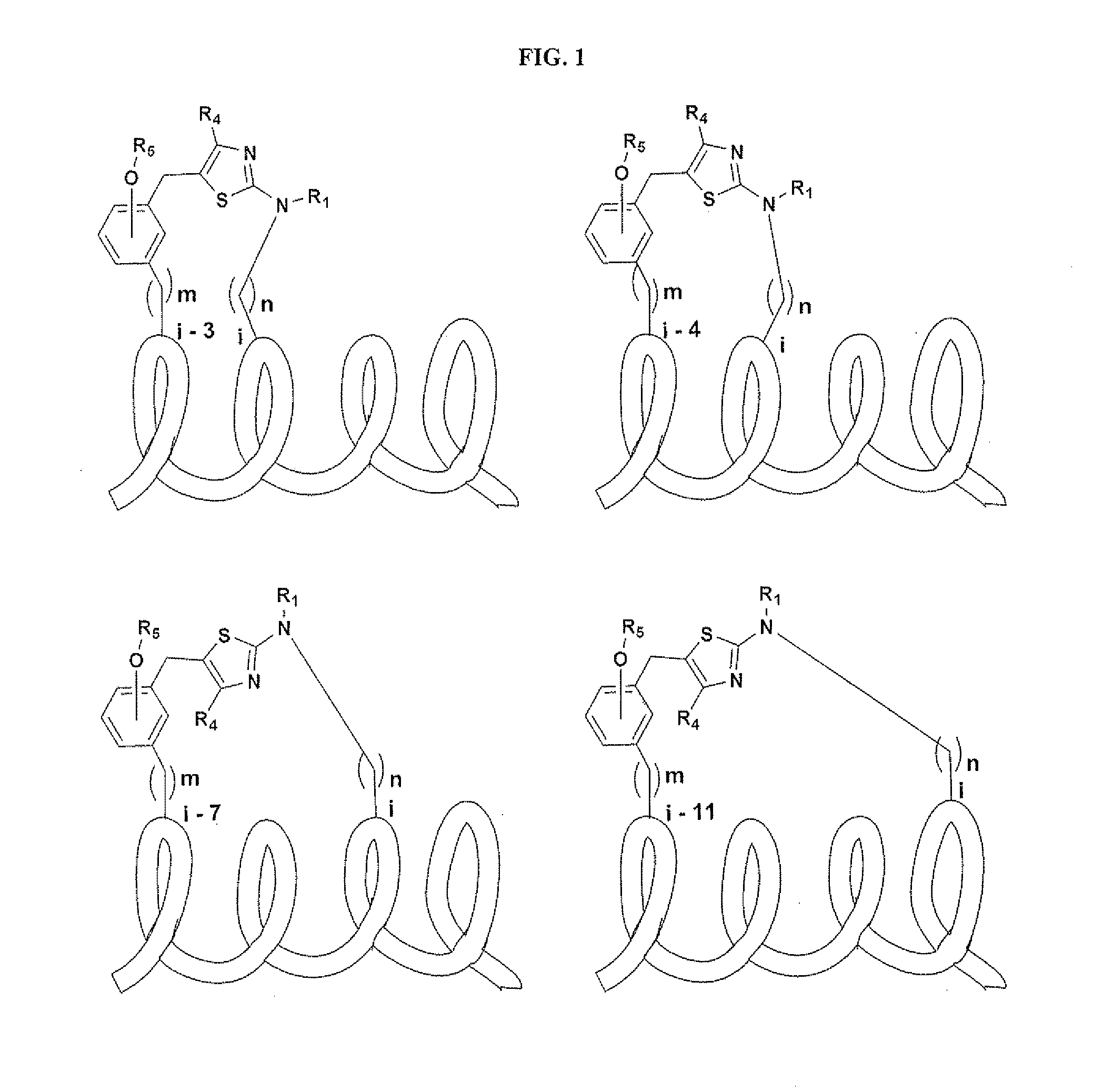 Macrocycles and macrocycle stabilized peptides