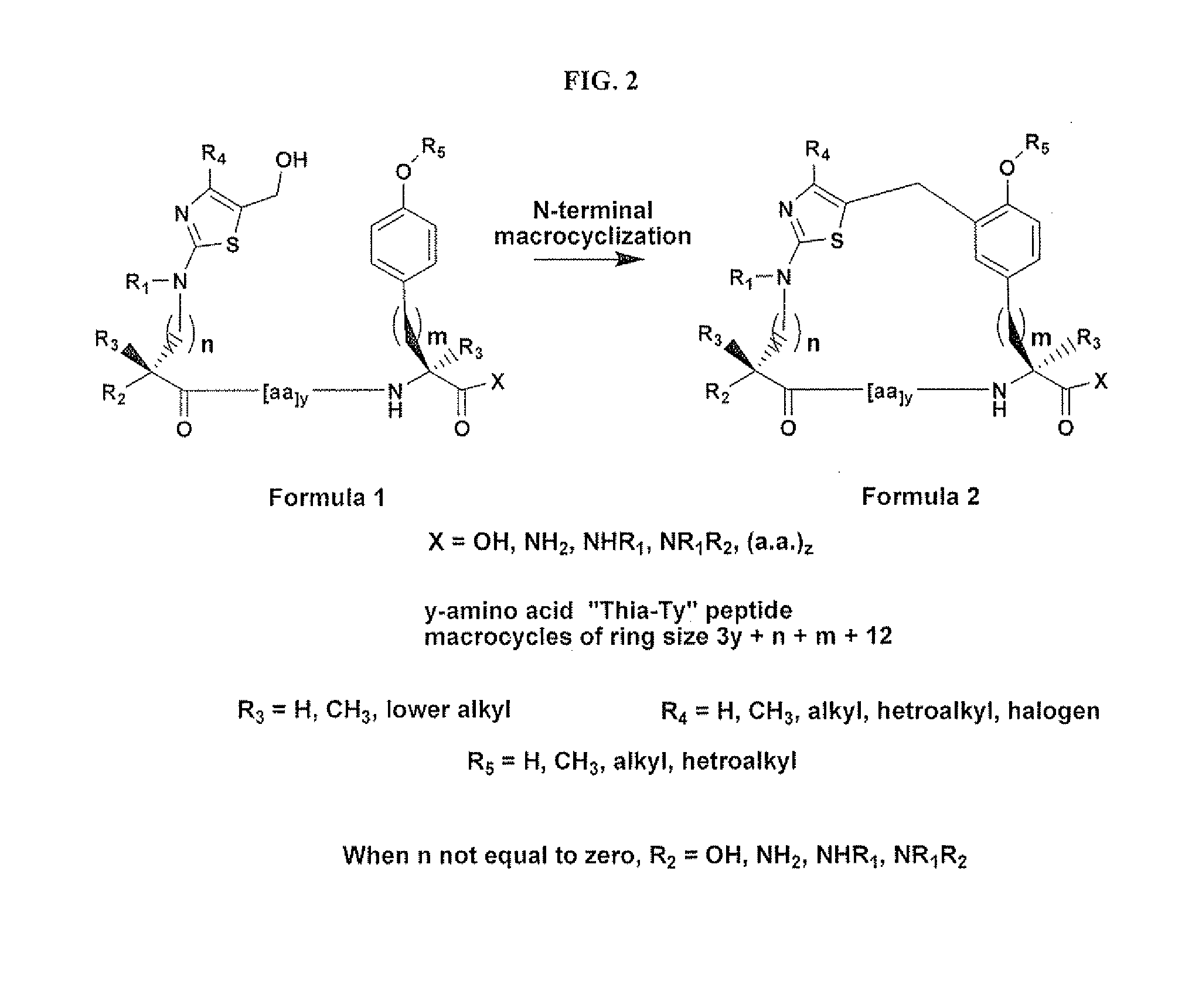 Macrocycles and macrocycle stabilized peptides