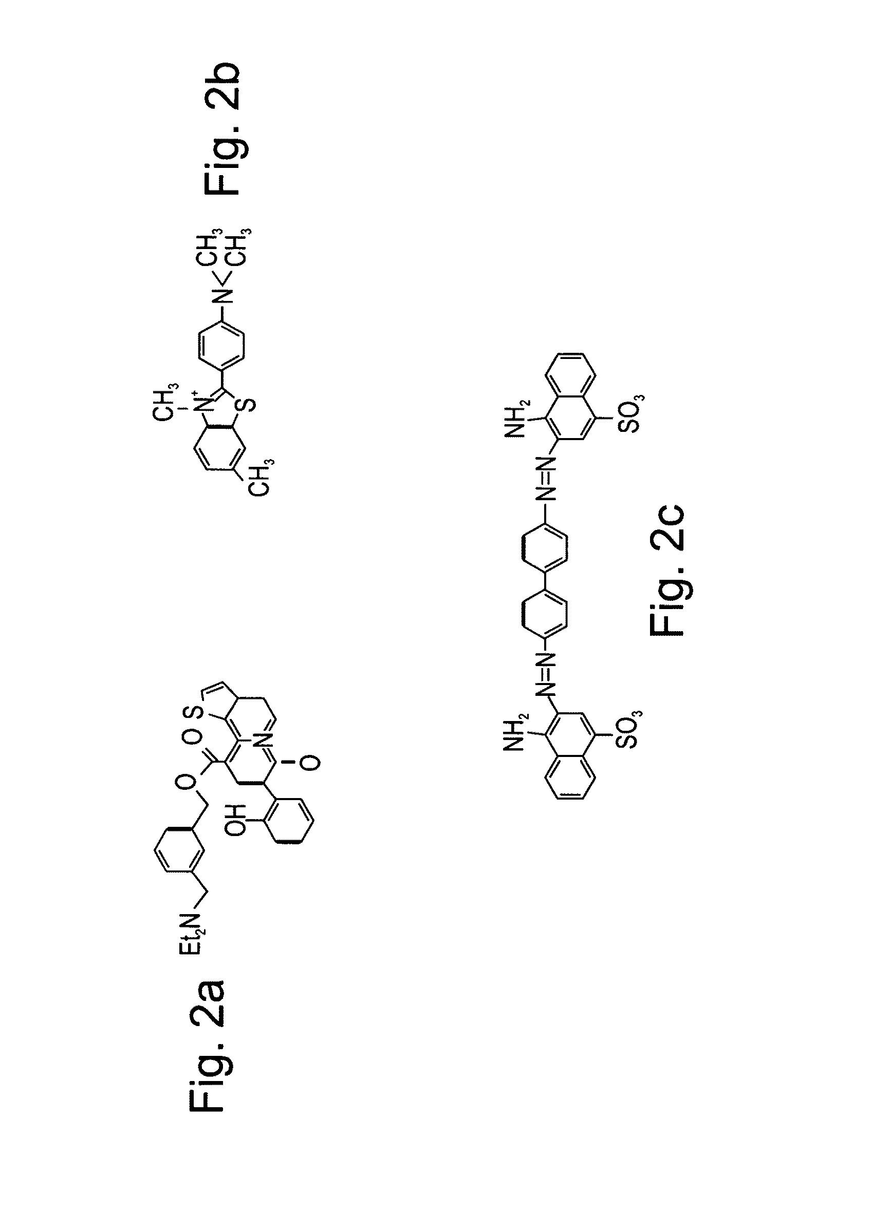 Peptides directed for diagnosis and treatment of amyloid-associated disease